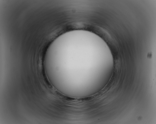 X0000101400267200807071037