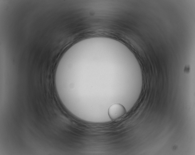 X0000101400268200807071037