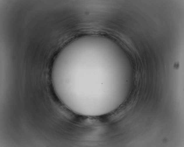 X0000101400270200807071037