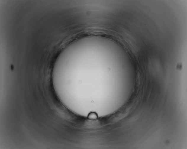 X0000101400271200807071037
