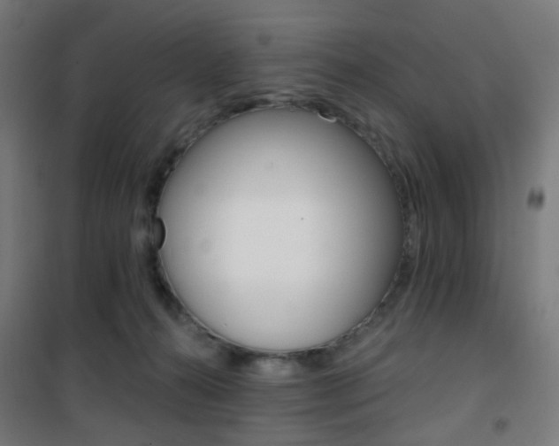X0000101400272200807071037