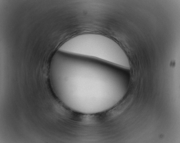 X0000101400273200807071037