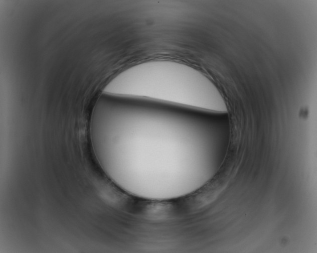 X0000101400274200807071037