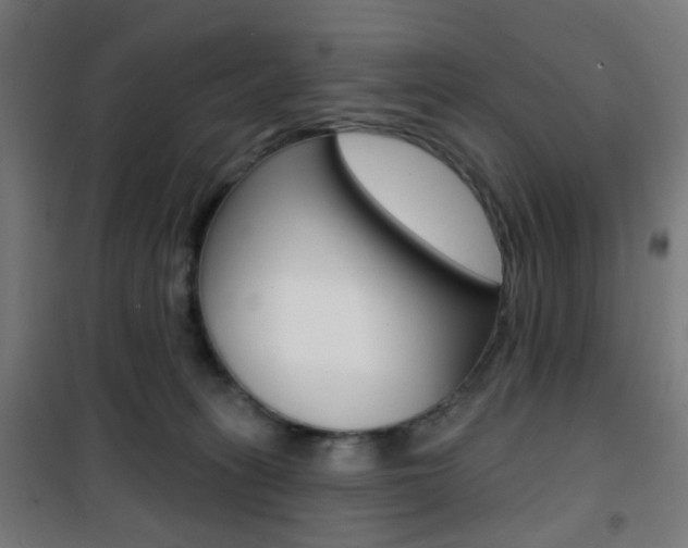 X0000101400275200807071037