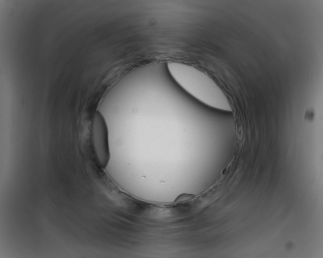 X0000101400276200807071037