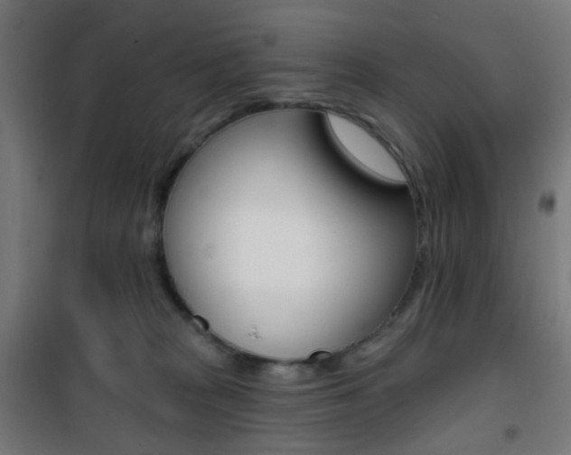 X0000101400277200807071037