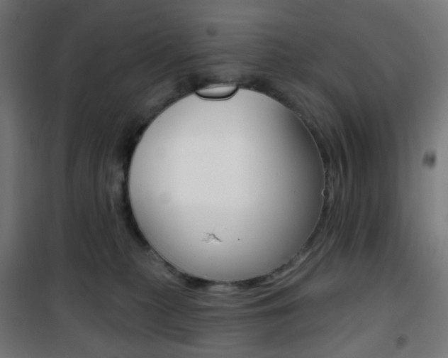 X0000101400279200807071037
