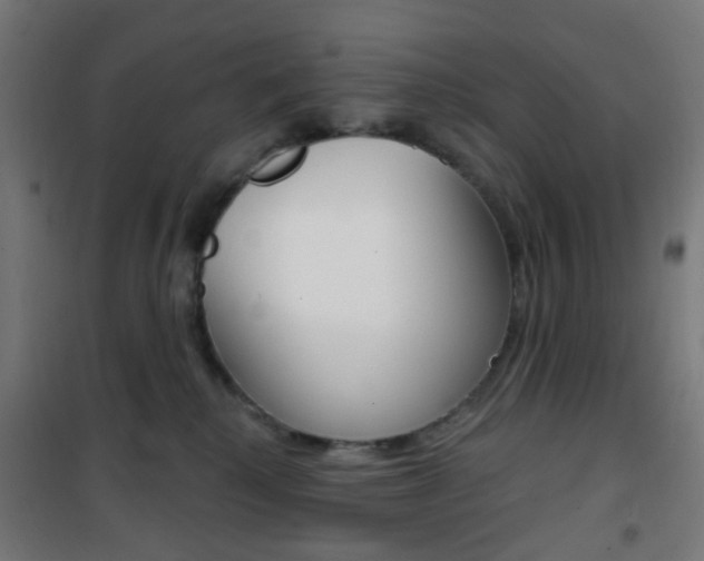 X0000101400280200807071037