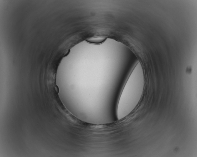 X0000101400281200807071037