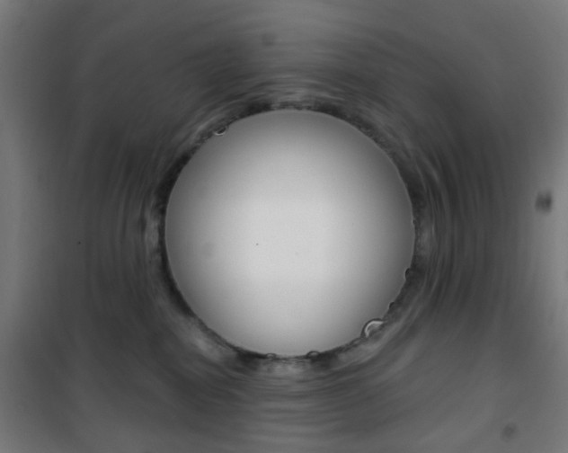 X0000101400282200807071037