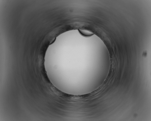 X0000101400283200807071037