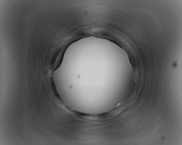 X0000101400284200807071037