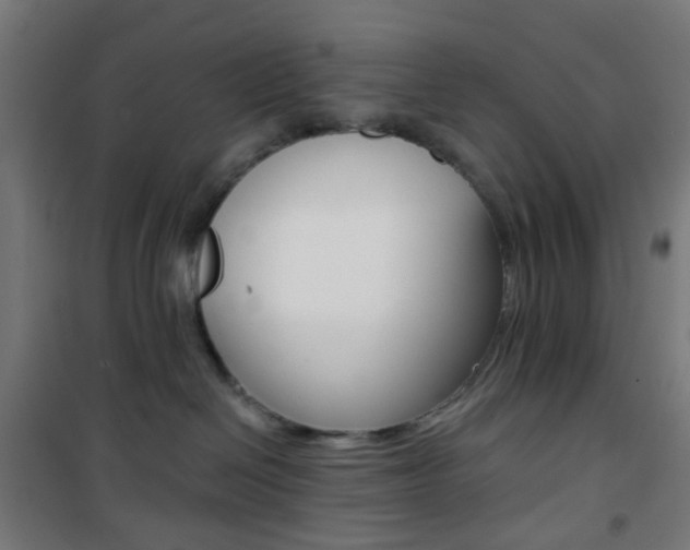 X0000101400286200807071037
