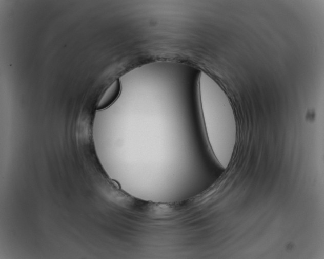 X0000101400287200807071037