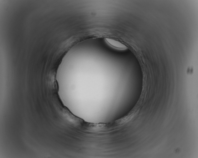 X0000101400288200807071037