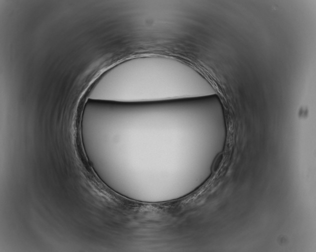 X0000101400290200807071036