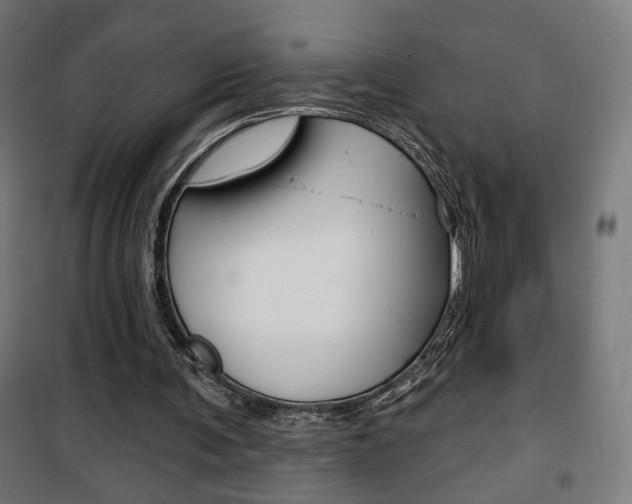 X0000101400291200807071036