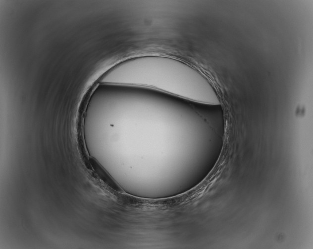 X0000101400292200807071036