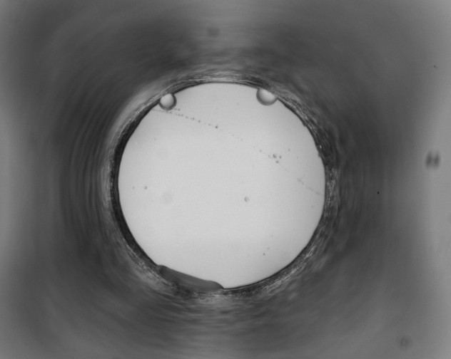 X0000101400293200807071036