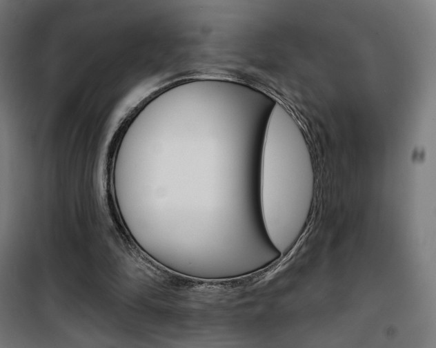 X0000101400294200807071036