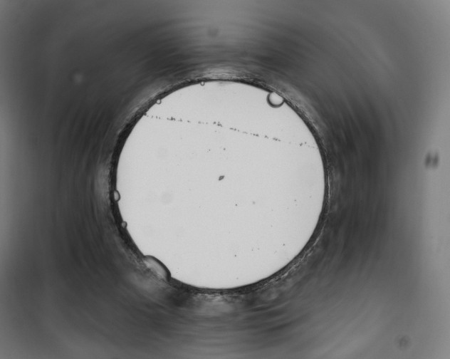 X0000101400297200807071036
