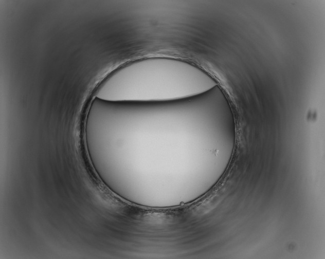 X0000101400298200807071036