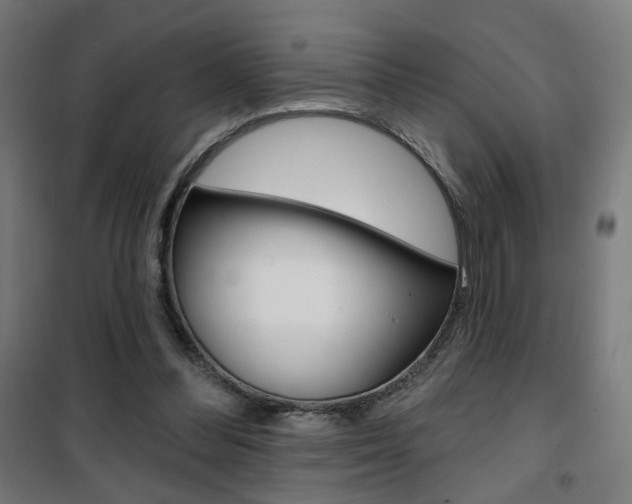 X0000101400300200807071036