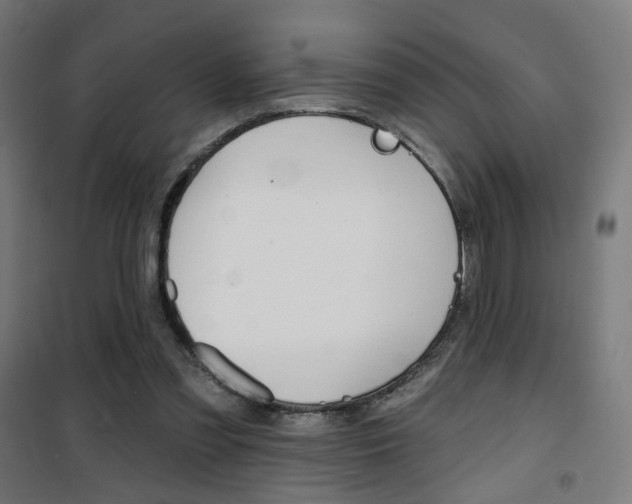 X0000101400301200807071036