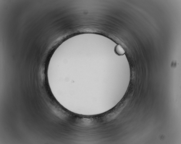 X0000101400302200807071036