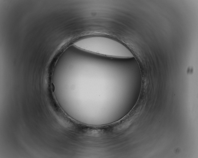X0000101400304200807071036