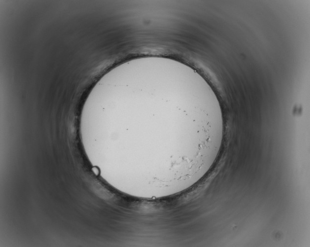 X0000101400305200807071036
