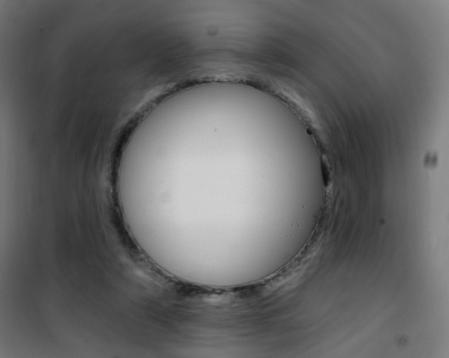 X0000101400306200807071036