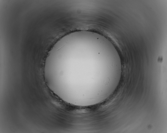 X0000101400307200807071036