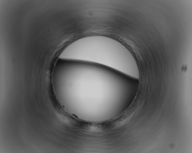 X0000101400308200807071036