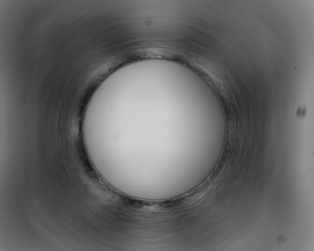 X0000101400310200807071036