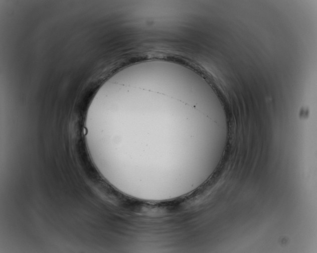 X0000101400311200807071036