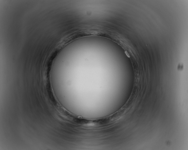 X0000101400312200807071036