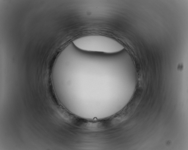X0000101400314200807071036