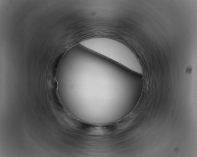 X0000101400316200807071036