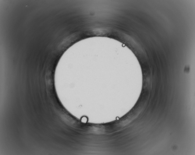 X0000101400317200807071036