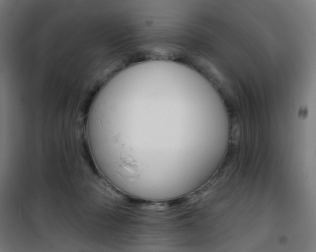 X0000101400318200807071036