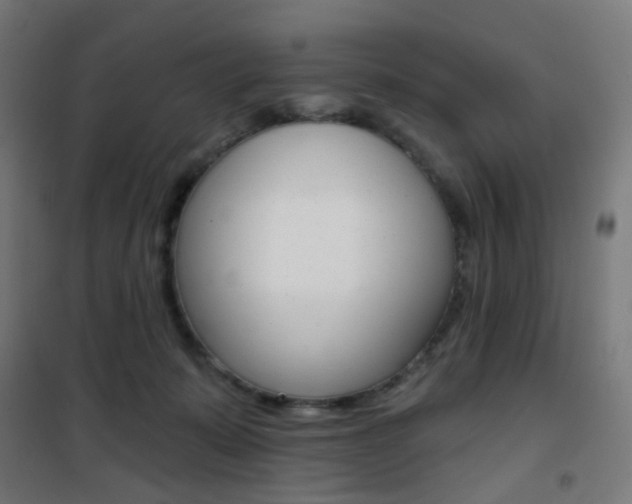 X0000101400319200807071036