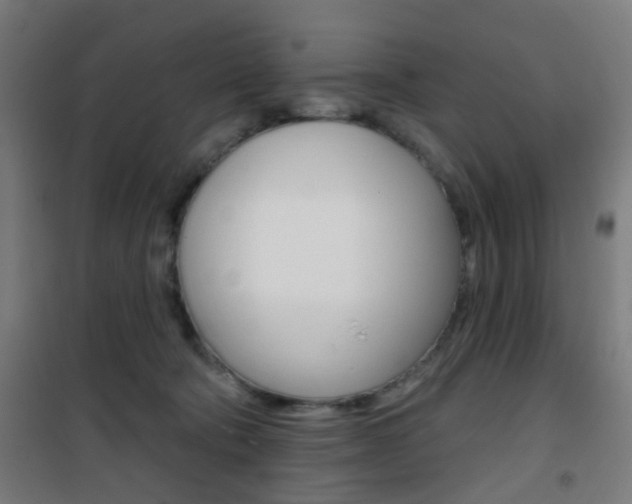 X0000101400322200807071036