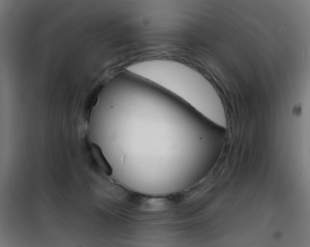 X0000101400324200807071036