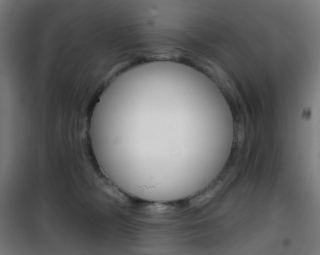 X0000101400326200807071036