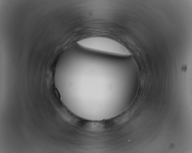 X0000101400327200807071036