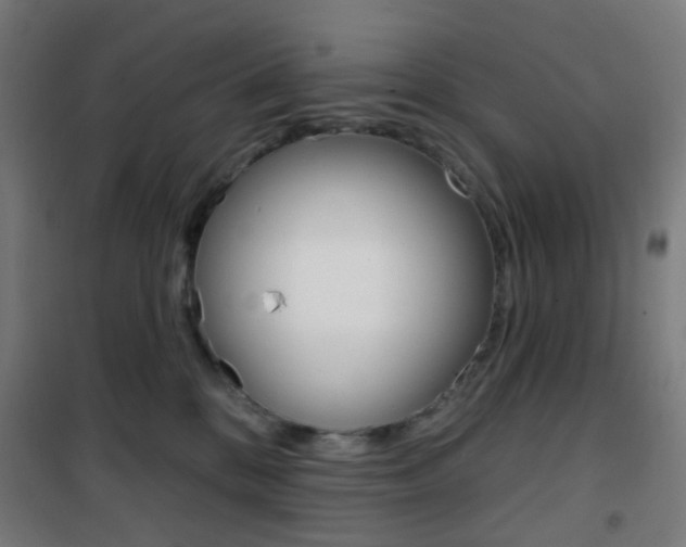 X0000101400328200807071036
