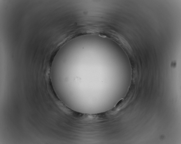 X0000101400329200807071036