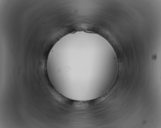 X0000101400331200807071036