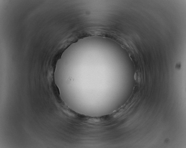 X0000101400332200807071036
